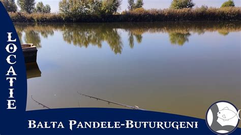 balta pandele buturugeni|Prezentare locatieBalta Pandele.
